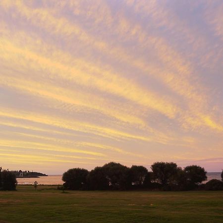 Discovery Parks - Devonport Kültér fotó